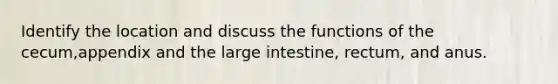 Identify the location and discuss the functions of the cecum,appendix and the <a href='https://www.questionai.com/knowledge/kGQjby07OK-large-intestine' class='anchor-knowledge'>large intestine</a>, rectum, and anus.