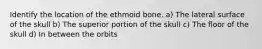 Identify the location of the ethmoid bone. a) The lateral surface of the skull b) The superior portion of the skull c) The floor of the skull d) In between the orbits