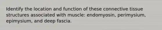 Identify the location and function of these <a href='https://www.questionai.com/knowledge/kYDr0DHyc8-connective-tissue' class='anchor-knowledge'>connective tissue</a> structures associated with muscle: endomyosin, perimysium, epimysium, and deep fascia.