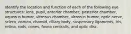 Identify the location and function of each of the following eye structures: lens, pupil, anterior chamber, posterior chamber, aqueous humor, vitreous chamber, vitreous humor, optic nerve, sclera, cornea, choroid, ciliary body, suspensory ligaments, iris, retina, rods, cones, fovea centralis, and optic disc.