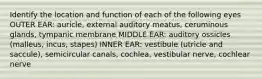 Identify the location and function of each of the following eyes OUTER EAR: auricle, external auditory meatus, ceruminous glands, tympanic membrane MIDDLE EAR: auditory ossicles (malleus, incus, stapes) INNER EAR: vestibule (utricle and saccule), semicircular canals, cochlea, vestibular nerve, cochlear nerve