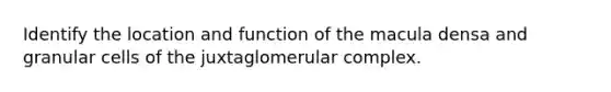 Identify the location and function of the macula densa and granular cells of the juxtaglomerular complex.