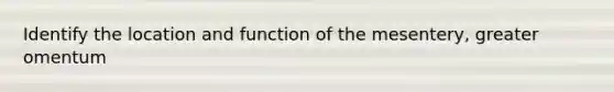 Identify the location and function of the mesentery, greater omentum