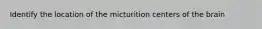 Identify the location of the micturition centers of the brain