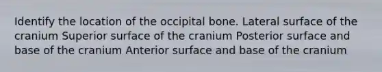 Identify the location of the occipital bone. Lateral surface of the cranium Superior surface of the cranium Posterior surface and base of the cranium Anterior surface and base of the cranium