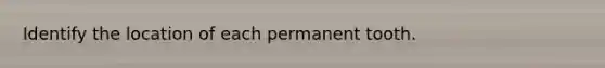 Identify the location of each permanent tooth.