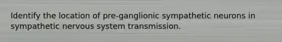 Identify the location of pre-ganglionic sympathetic neurons in sympathetic nervous system transmission.