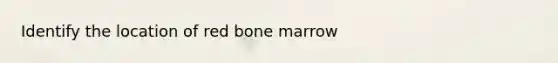 Identify the location of red bone marrow