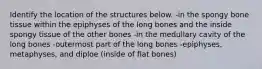 Identify the location of the structures below. -in the spongy bone tissue within the epiphyses of the long bones and the inside spongy tissue of the other bones -in the medullary cavity of the long bones -outermost part of the long bones -epiphyses, metaphyses, and diploe (inside of flat bones)