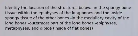 Identify the location of the structures below. -in the spongy bone tissue within the epiphyses of the long bones and the inside spongy tissue of the other bones -in the medullary cavity of the long bones -outermost part of the long bones -epiphyses, metaphyses, and diploe (inside of flat bones)