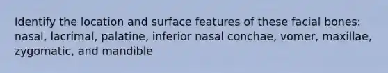 Identify the location and surface features of these facial bones: nasal, lacrimal, palatine, inferior nasal conchae, vomer, maxillae, zygomatic, and mandible