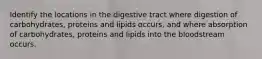 Identify the locations in the digestive tract where digestion of carbohydrates, proteins and lipids occurs, and where absorption of carbohydrates, proteins and lipids into the bloodstream occurs.