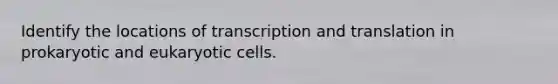 Identify the locations of <a href='https://www.questionai.com/knowledge/kWsjwWywkN-transcription-and-translation' class='anchor-knowledge'>transcription and translation</a> in prokaryotic and <a href='https://www.questionai.com/knowledge/kb526cpm6R-eukaryotic-cells' class='anchor-knowledge'>eukaryotic cells</a>.