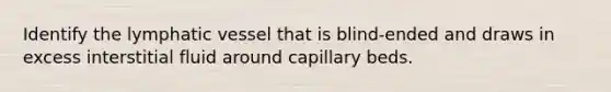 Identify the lymphatic vessel that is blind-ended and draws in excess interstitial fluid around capillary beds.