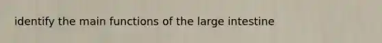 identify the main functions of the large intestine