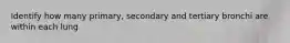 Identify how many primary, secondary and tertiary bronchi are within each lung