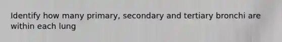 Identify how many primary, secondary and tertiary bronchi are within each lung