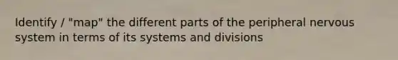 Identify / "map" the different parts of the peripheral nervous system in terms of its systems and divisions