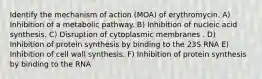 Identify the mechanism of action (MOA) of erythromycin. A) Inhibition of a metabolic pathway. B) Inhibition of nucleic acid synthesis. C) Disruption of cytoplasmic membranes . D) Inhibition of protein synthesis by binding to the 23S RNA E) Inhibition of cell wall synthesis. F) Inhibition of protein synthesis by binding to the RNA