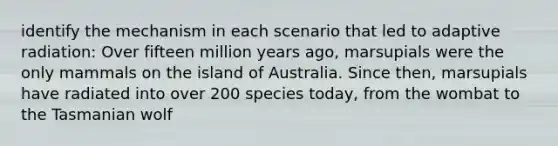 identify the mechanism in each scenario that led to adaptive radiation: Over fifteen million years ago, marsupials were the only mammals on the island of Australia. Since then, marsupials have radiated into over 200 species today, from the wombat to the Tasmanian wolf