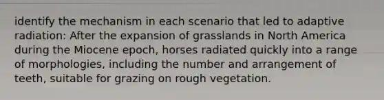 identify the mechanism in each scenario that led to adaptive radiation: After the expansion of grasslands in North America during the Miocene epoch, horses radiated quickly into a range of morphologies, including the number and arrangement of teeth, suitable for grazing on rough vegetation.