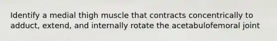 Identify a medial thigh muscle that contracts concentrically to adduct, extend, and internally rotate the acetabulofemoral joint