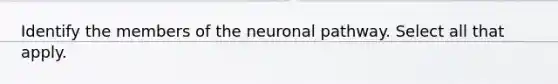 Identify the members of the neuronal pathway. Select all that apply.