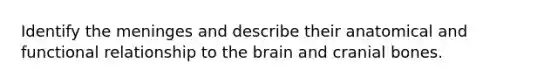 Identify the meninges and describe their anatomical and functional relationship to the brain and cranial bones.