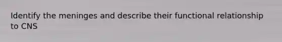 Identify the meninges and describe their functional relationship to CNS