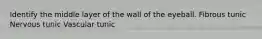 Identify the middle layer of the wall of the eyeball. Fibrous tunic Nervous tunic Vascular tunic