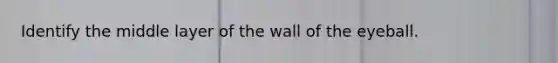 Identify the middle layer of the wall of the eyeball.