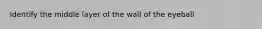 Identify the middle layer of the wall of the eyeball