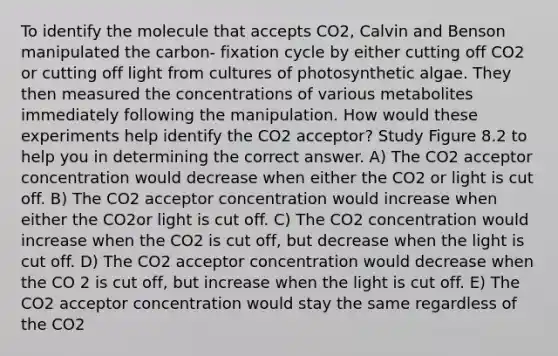 To identify the molecule that accepts CO2, Calvin and Benson manipulated the carbon- fixation cycle by either cutting off CO2 or cutting off light from cultures of photosynthetic algae. They then measured the concentrations of various metabolites immediately following the manipulation. How would these experiments help identify the CO2 acceptor? Study Figure 8.2 to help you in determining the correct answer. A) The CO2 acceptor concentration would decrease when either the CO2 or light is cut off. B) The CO2 acceptor concentration would increase when either the CO2or light is cut off. C) The CO2 concentration would increase when the CO2 is cut off, but decrease when the light is cut off. D) The CO2 acceptor concentration would decrease when the CO 2 is cut off, but increase when the light is cut off. E) The CO2 acceptor concentration would stay the same regardless of the CO2