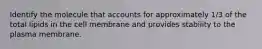 Identify the molecule that accounts for approximately 1/3 of the total lipids in the cell membrane and provides stability to the plasma membrane.
