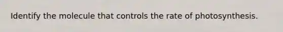 Identify the molecule that controls the rate of photosynthesis.