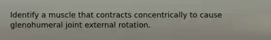 Identify a muscle that contracts concentrically to cause glenohumeral joint external rotation.
