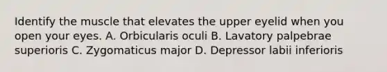 Identify the muscle that elevates the upper eyelid when you open your eyes. A. Orbicularis oculi B. Lavatory palpebrae superioris C. Zygomaticus major D. Depressor labii inferioris