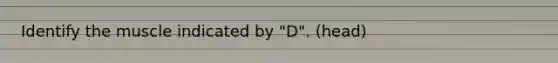 Identify the muscle indicated by "D". (head)