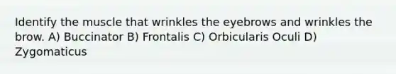 Identify the muscle that wrinkles the eyebrows and wrinkles the brow. A) Buccinator B) Frontalis C) Orbicularis Oculi D) Zygomaticus