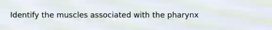 Identify the muscles associated with <a href='https://www.questionai.com/knowledge/ktW97n6hGJ-the-pharynx' class='anchor-knowledge'>the pharynx</a>