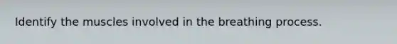 Identify the muscles involved in the breathing process.