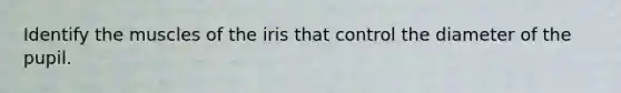 Identify the muscles of the iris that control the diameter of the pupil.