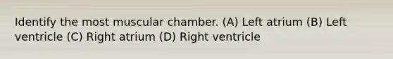 Identify the most muscular chamber. (A) Left atrium (B) Left ventricle (C) Right atrium (D) Right ventricle