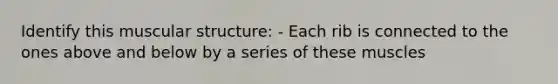 Identify this muscular structure: - Each rib is connected to the ones above and below by a series of these muscles