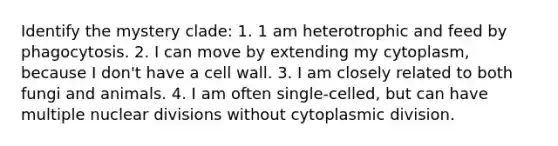 Identify the mystery clade: 1. 1 am heterotrophic and feed by phagocytosis. 2. I can move by extending my cytoplasm, because I don't have a cell wall. 3. I am closely related to both fungi and animals. 4. I am often single-celled, but can have multiple nuclear divisions without cytoplasmic division.