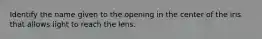 Identify the name given to the opening in the center of the iris that allows light to reach the lens.