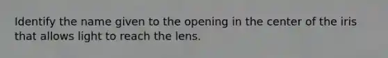 Identify the name given to the opening in the center of the iris that allows light to reach the lens.