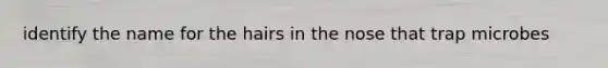 identify the name for the hairs in the nose that trap microbes