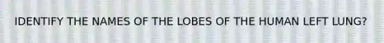 IDENTIFY THE NAMES OF THE LOBES OF THE HUMAN LEFT LUNG?