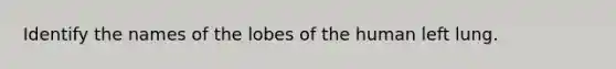 Identify the names of the lobes of the human left lung.